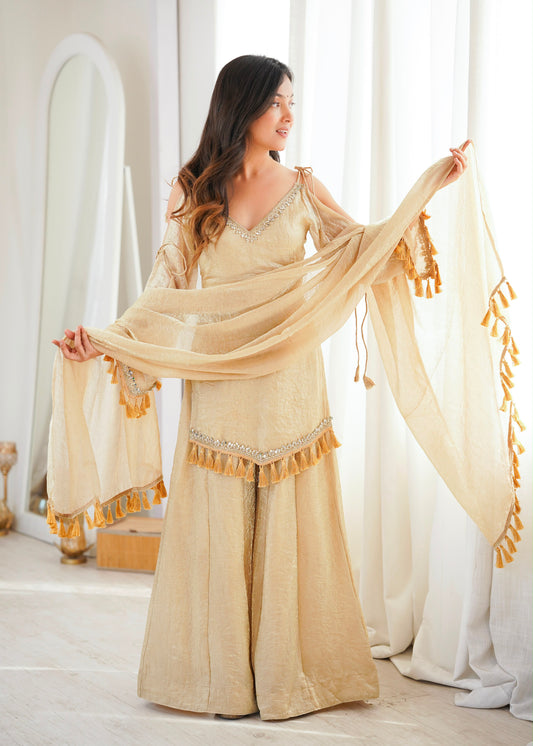 Classic Mirror Plazzo Set – Boutique Ethnic Wear