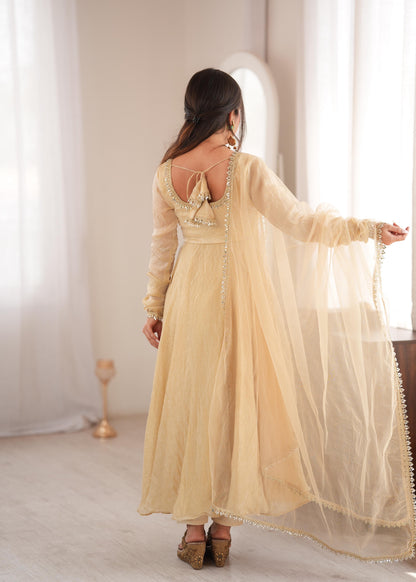 Elegant Crush Gown Set – Designer Festive Wear