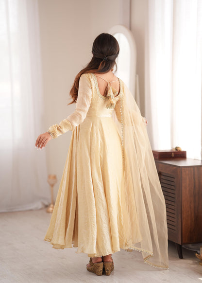 Elegant Crush Gown Set – Designer Festive Wear