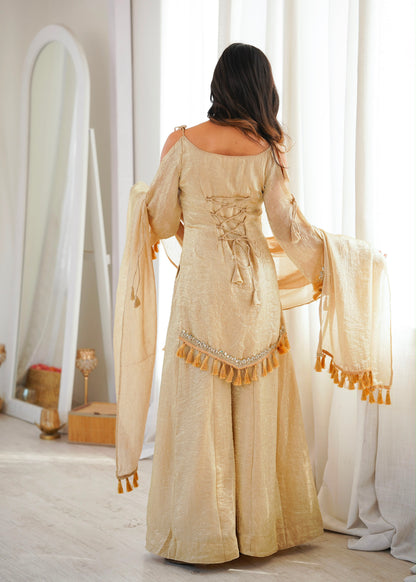 Classic Mirror Plazzo Set – Boutique Ethnic Wear