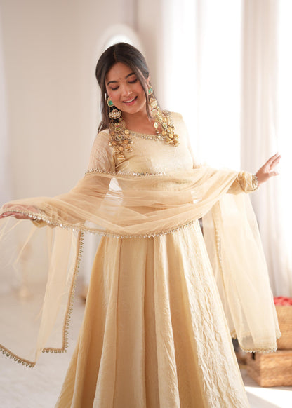 Elegant Crush Gown Set – Designer Festive Wear