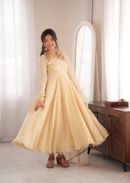 Elegant Crush Gown Set – Designer Festive Wear