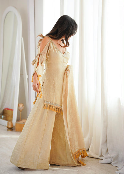 Classic Mirror Plazzo Set – Boutique Ethnic Wear