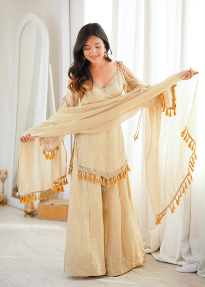 Classic Mirror Plazzo Set – Boutique Ethnic Wear
