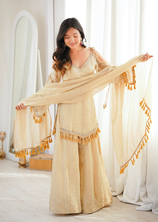 Classic Mirror Plazzo Set – Boutique Ethnic Wear